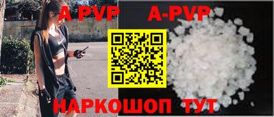 кокс Гатчина