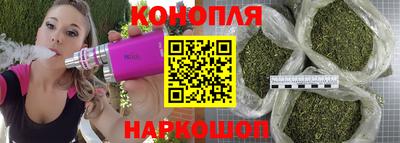 кокс Гатчина