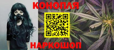 кокс Гатчина