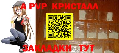 кокс Гатчина