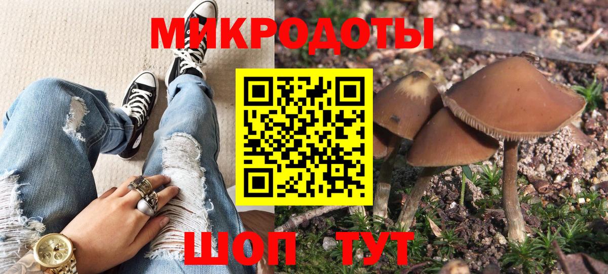 где купить наркоту  Галлюциногенные грибы мицелий  Вход с VPN  Мурино  Псилоцибиновые грибы мухоморы 