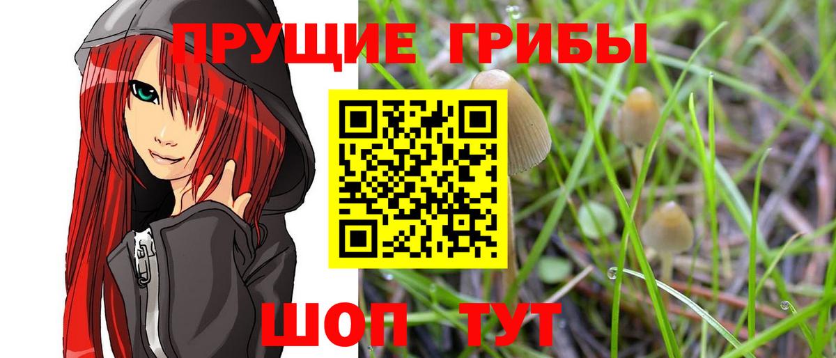 Галлюциногенные грибы мицелий Мурино